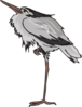 Gray Heron Standing On One Leg Clip Art